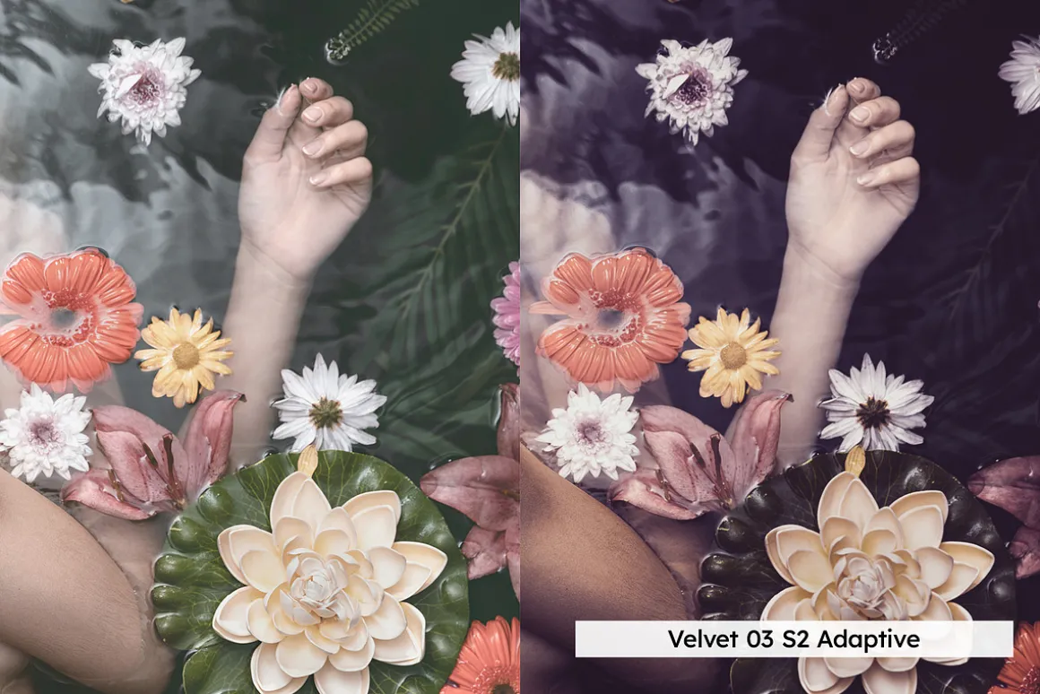 20 Plum Royale Lightroom Presets and