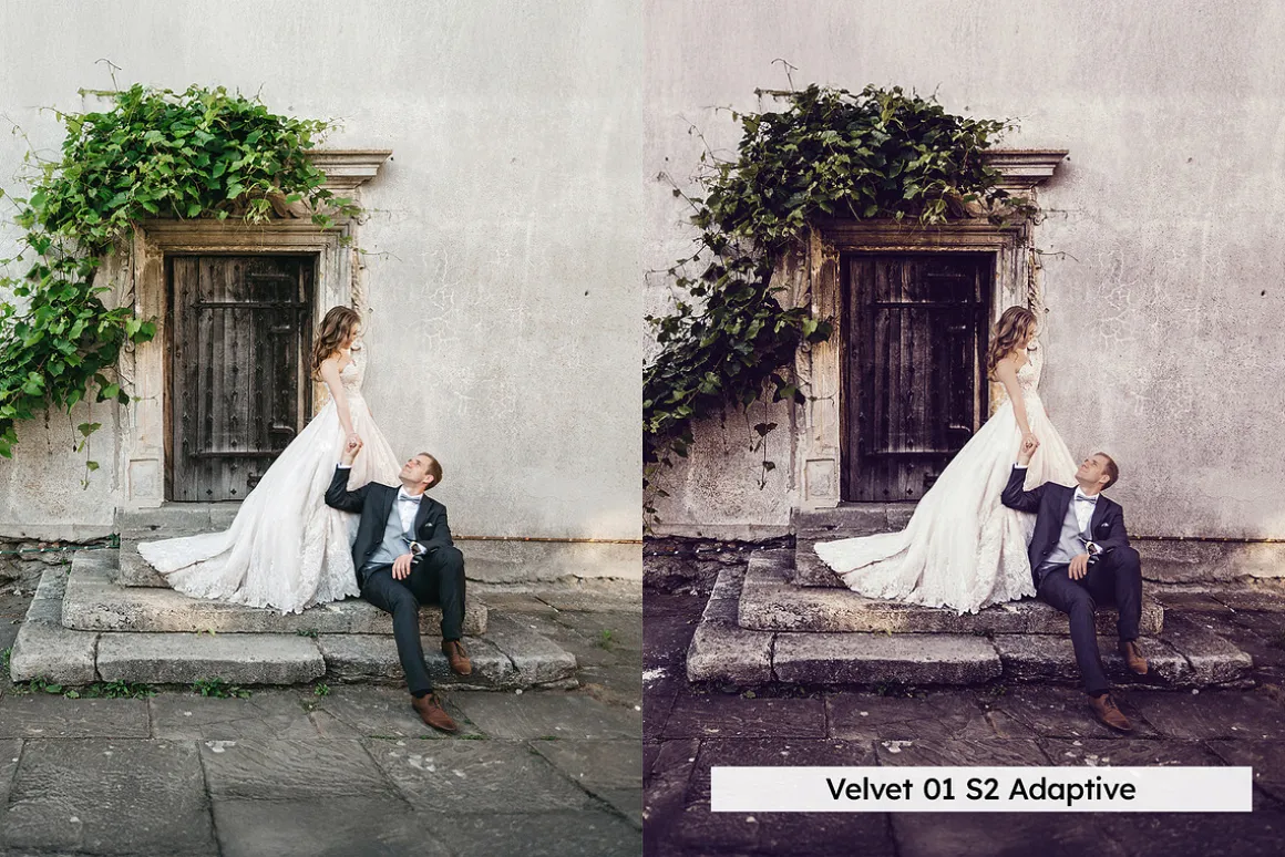 20 Plum Royale Lightroom Presets and