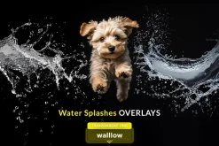 PNG water splashes digital overlays