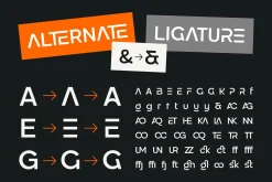 Pogonia - Modern Font Family