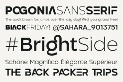 Pogonia - Modern Font Family