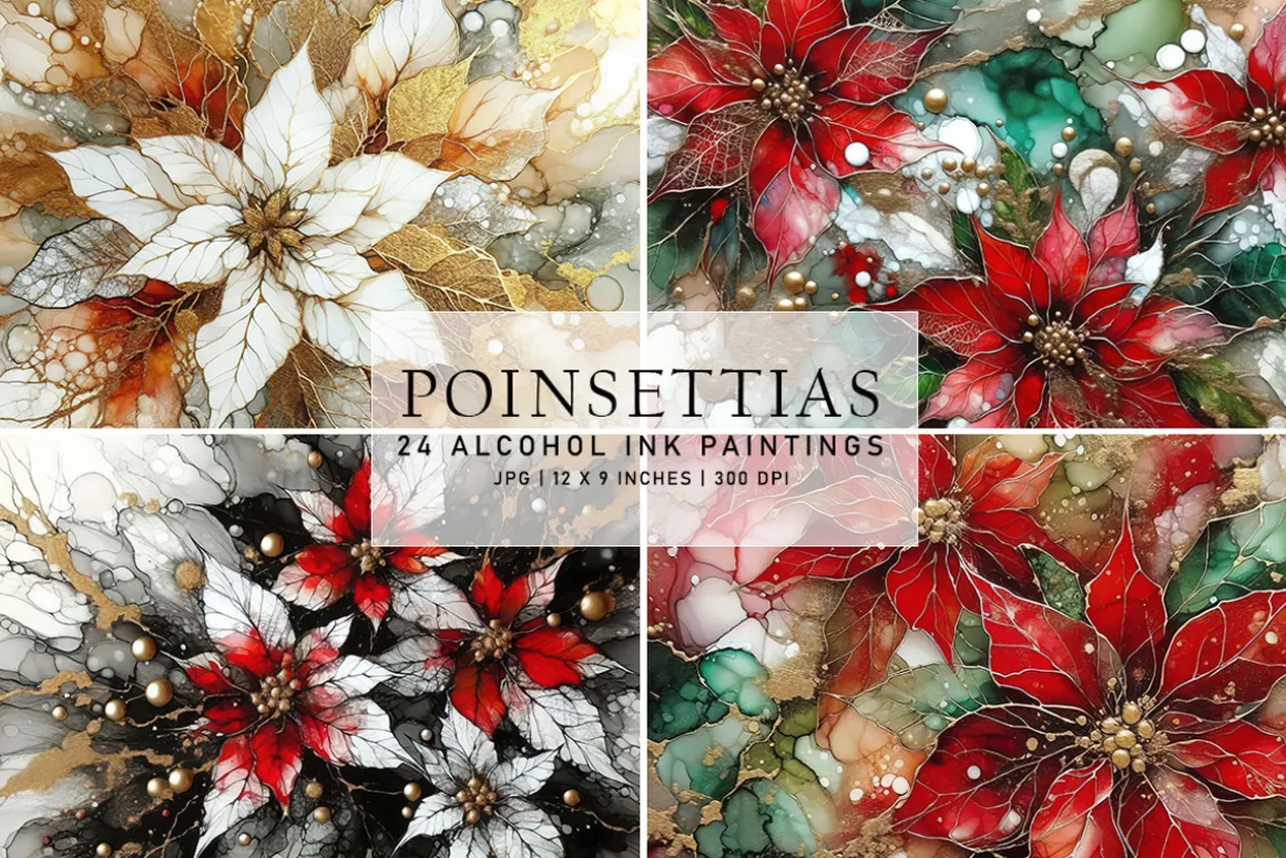 Poinsettias