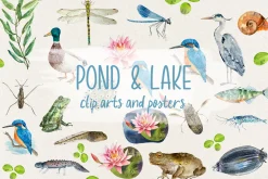 Pond and Lake Clip Arts and Posters
