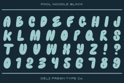 Pool Noodle: A Bubble Letter Font