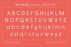 Poppy Bonfire - Modern Display Font