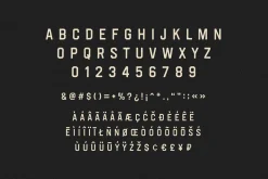 Portside | Industrial Display Sans