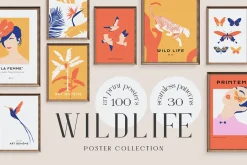 Poster Bundle | Modern Gallery