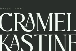 Praise Elegant Stylish Font