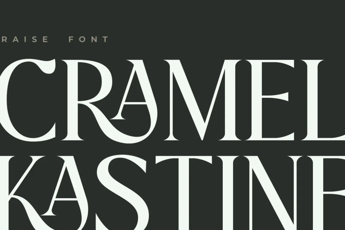 Praise Elegant Stylish Font
