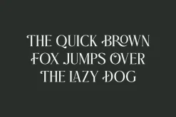 Praise Elegant Stylish Font