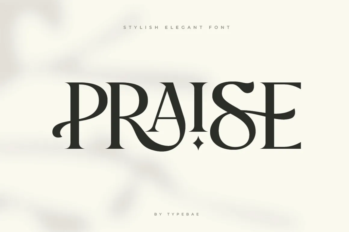 Praise Elegant Stylish Font