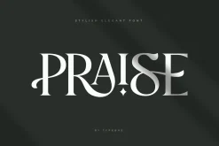 Praise Elegant Stylish Font