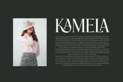 Praise Elegant Stylish Font