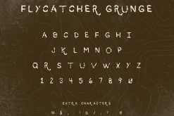 Premium Font Bundle
