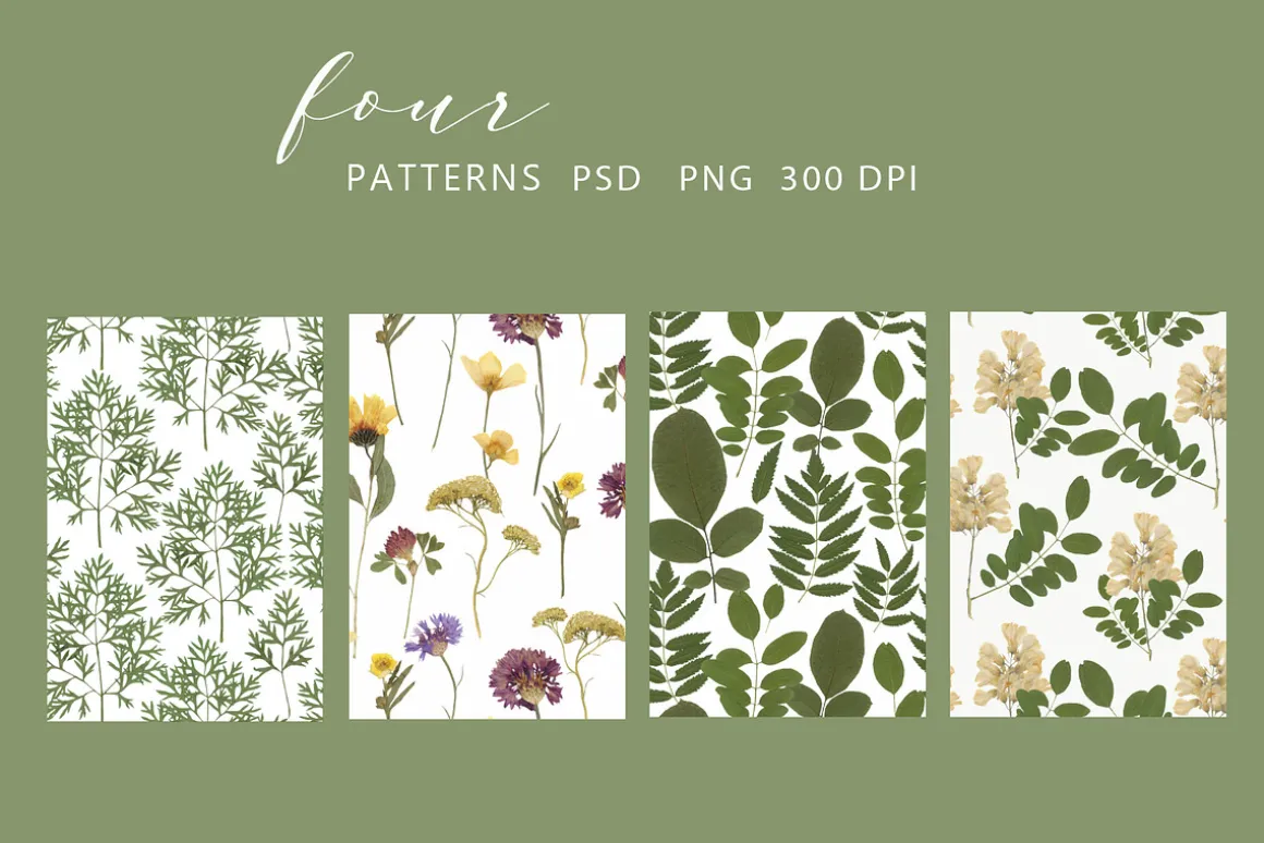 Pressed Dry Flowers & Leaves