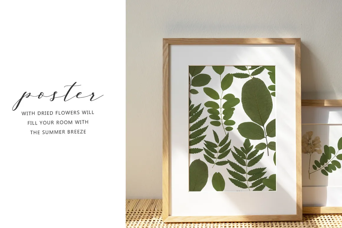 Pressed Dry Flowers & Leaves