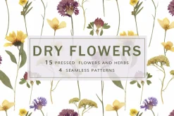 Pressed Dry Flowers & Leaves