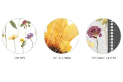Pressed Dry Flowers & Leaves