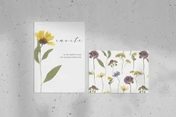 Pressed Dry Flowers & Leaves