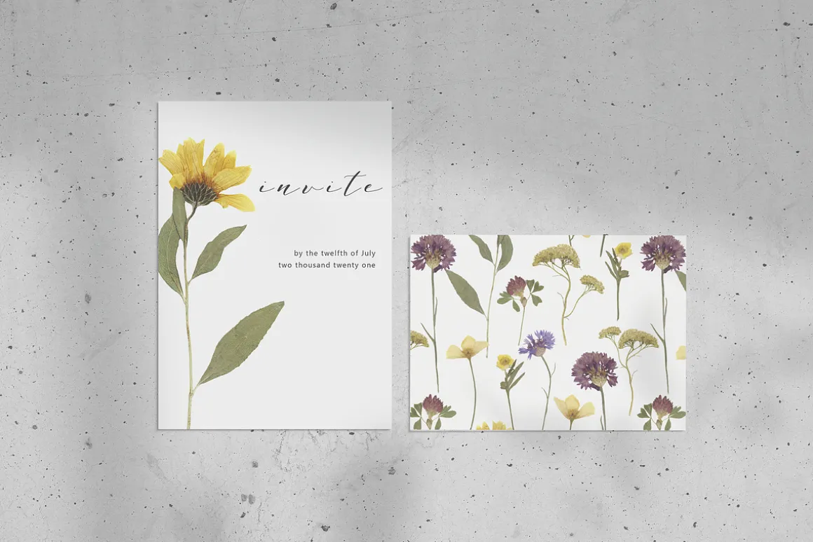 Pressed Dry Flowers & Leaves