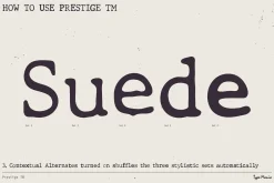 Prestige TM – Organic Typewriter