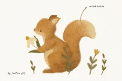 Procreate Chalk Brush Set