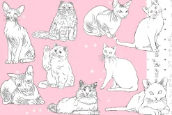 Procreate Cat animal brushes