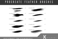 Procreate Feather Brushes