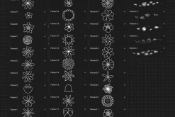 Procreate flowers stamp brushes