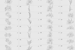 Procreate flower stamp, garden
