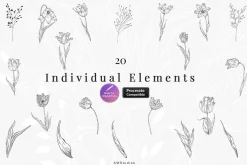 Procreate Flower Stamps Pack