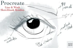Procreate Line & Wash Brush Set