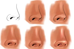 Procreate Nose lips eyes brushes