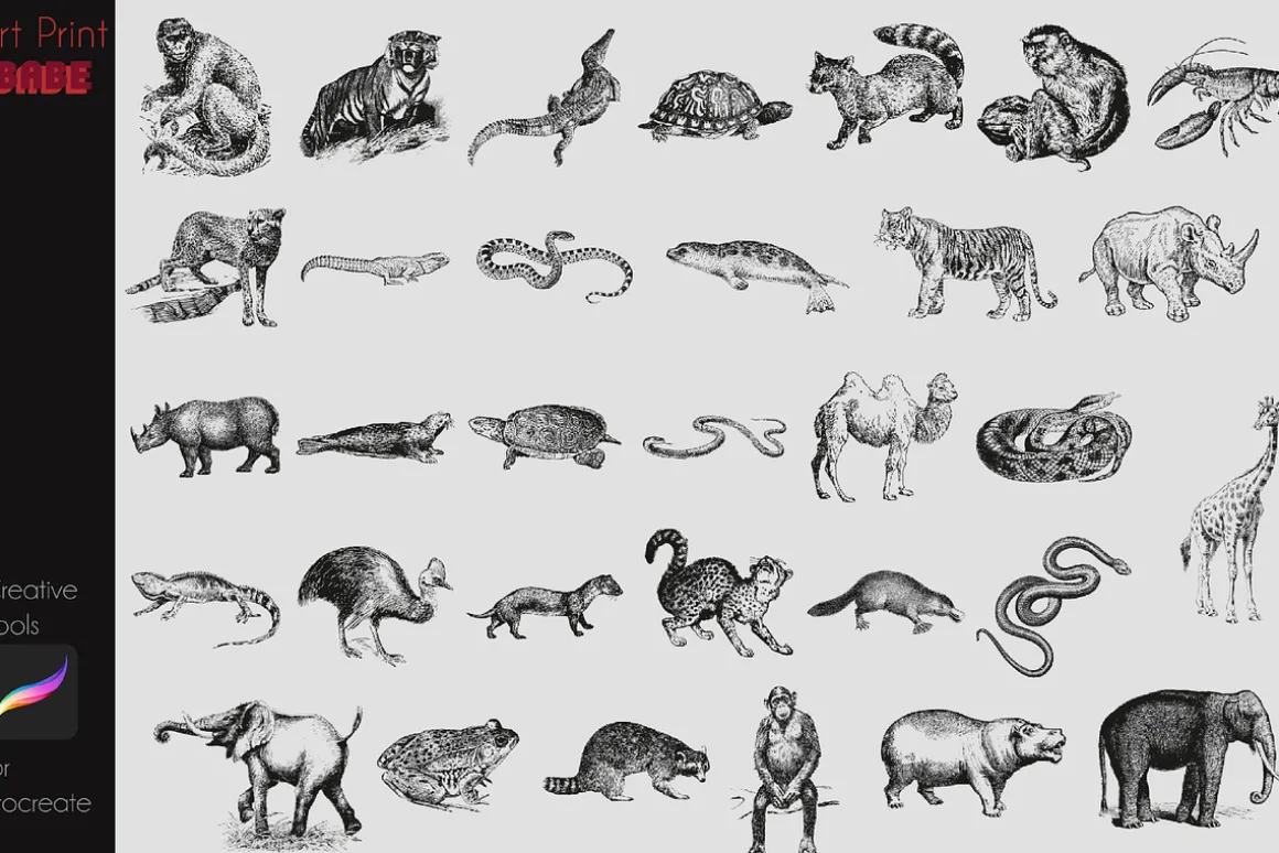 Procreate Safari Animals Stamps