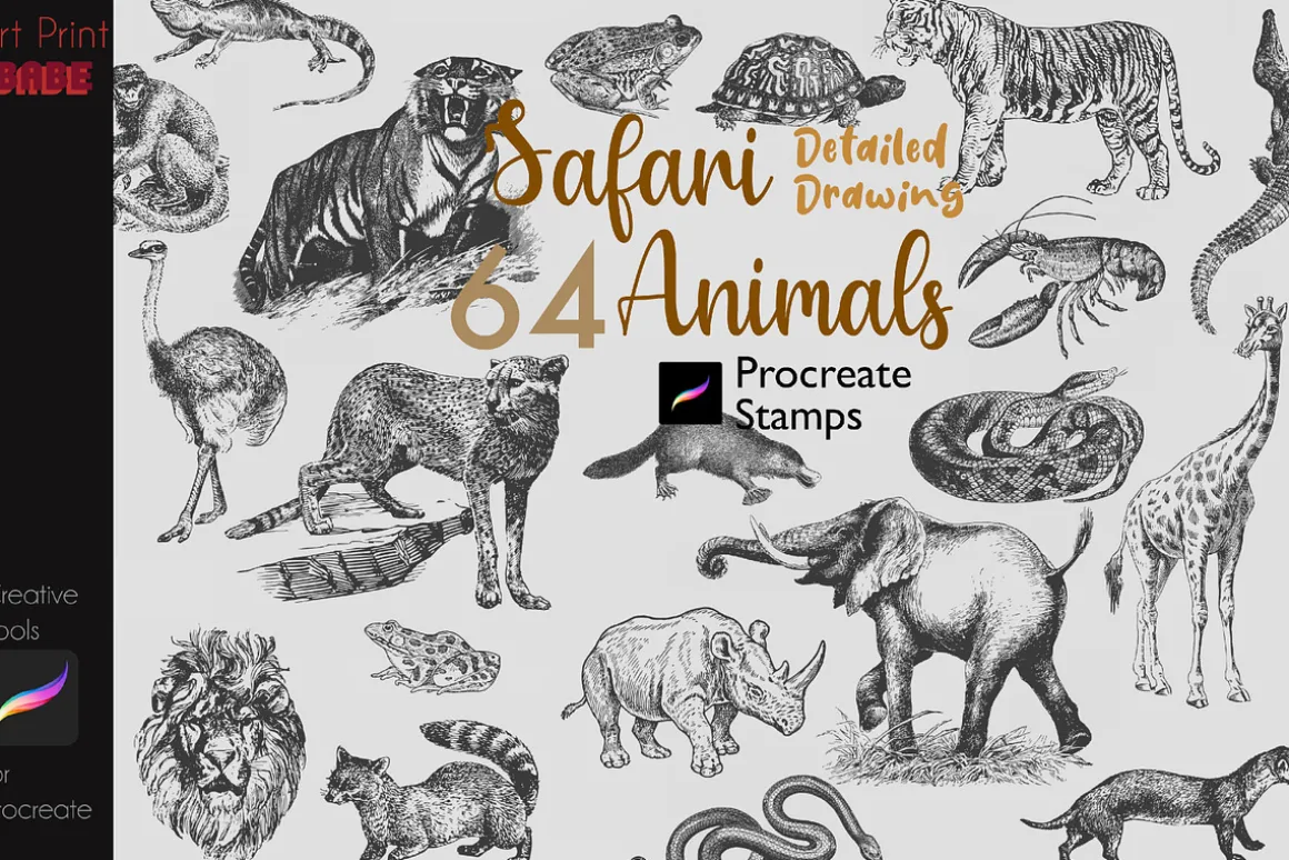 Procreate Safari Animals Stamps