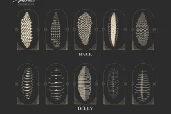 Procreate snake skin brushes