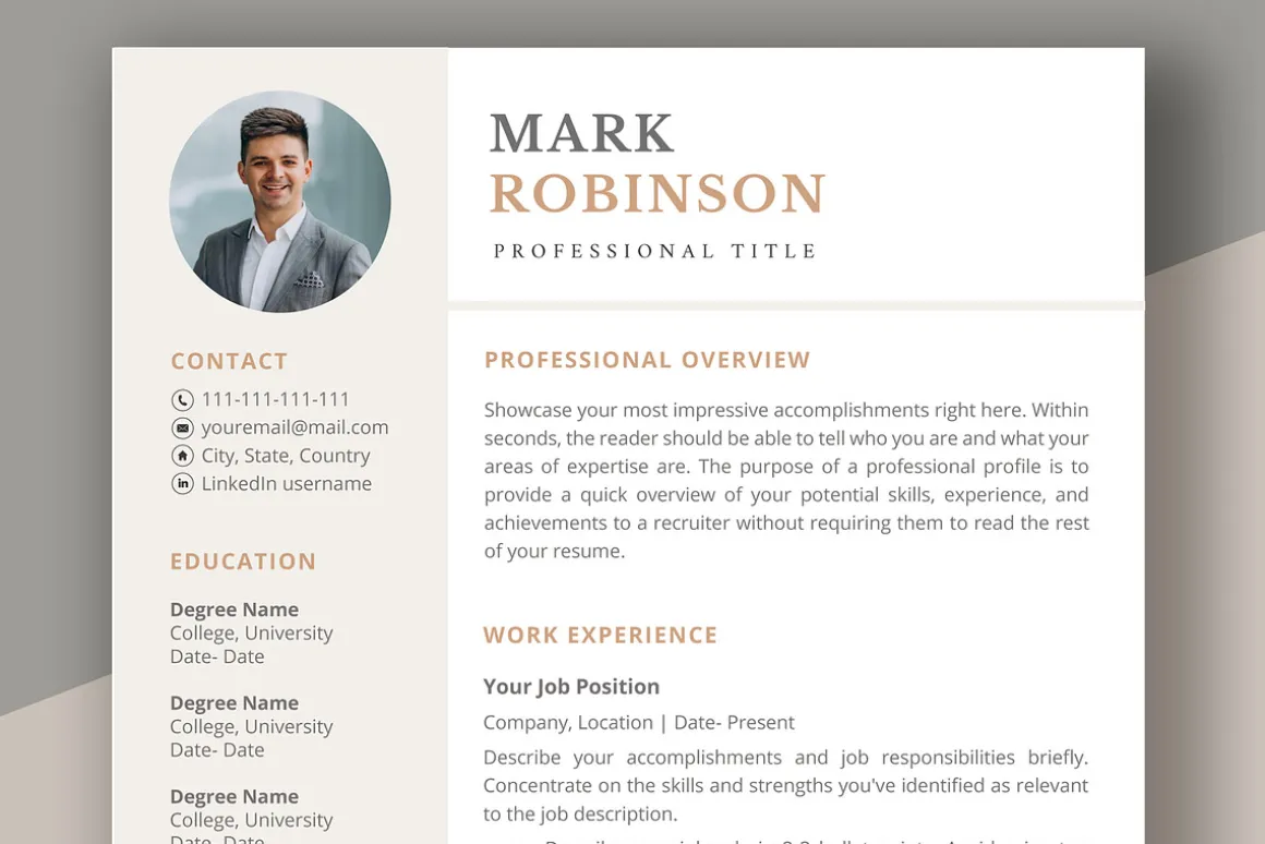 Professional CV template/ resume