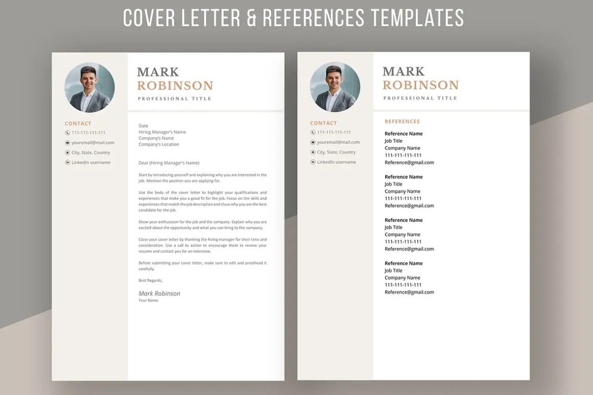 Professional CV template/ resume