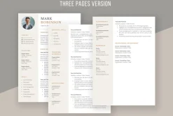 Professional CV template/ resume