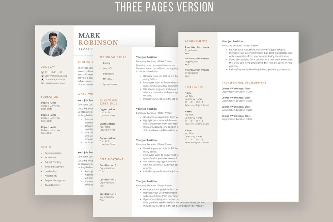 Professional CV template/ resume