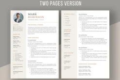 Professional CV template/ resume