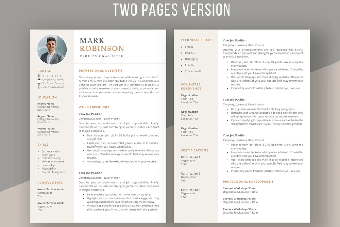 Professional CV template/ resume