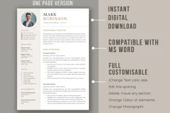 Professional CV template/ resume