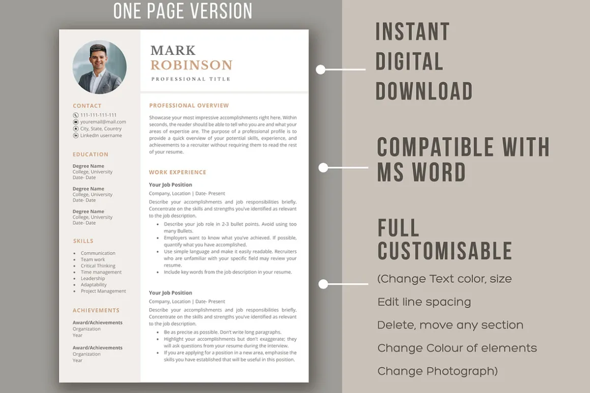 Professional CV template/ resume