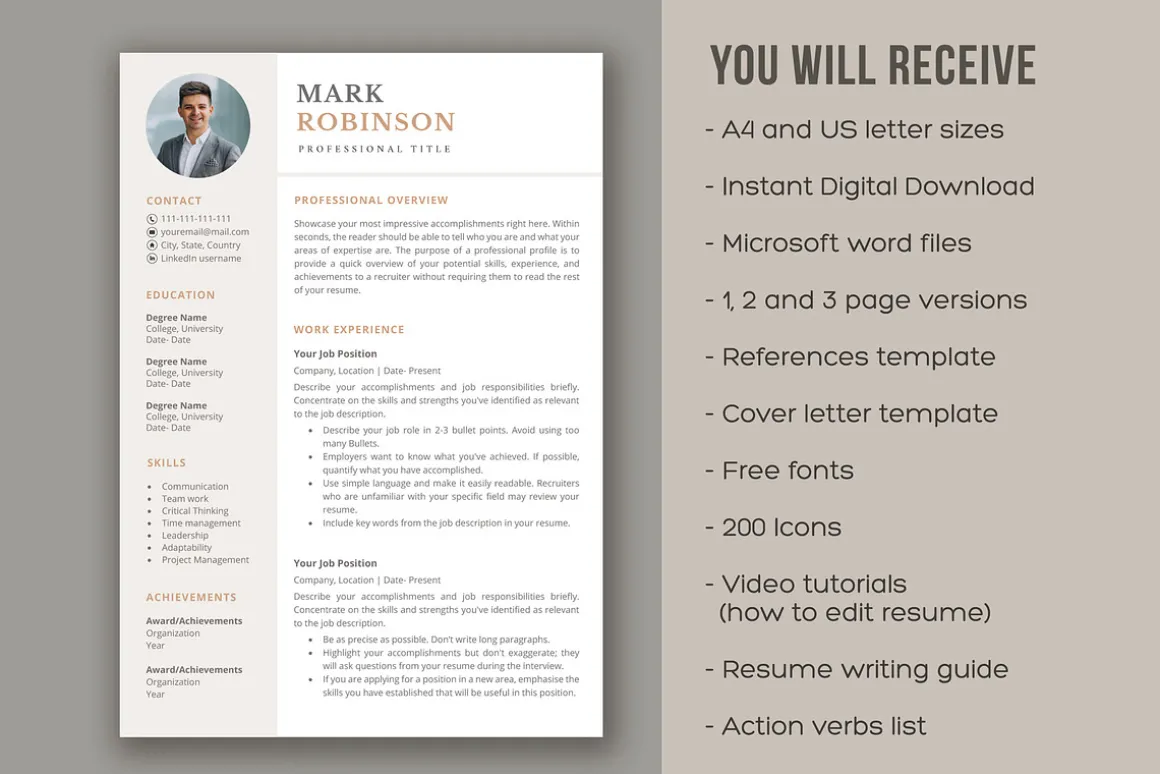 Professional CV template/ resume