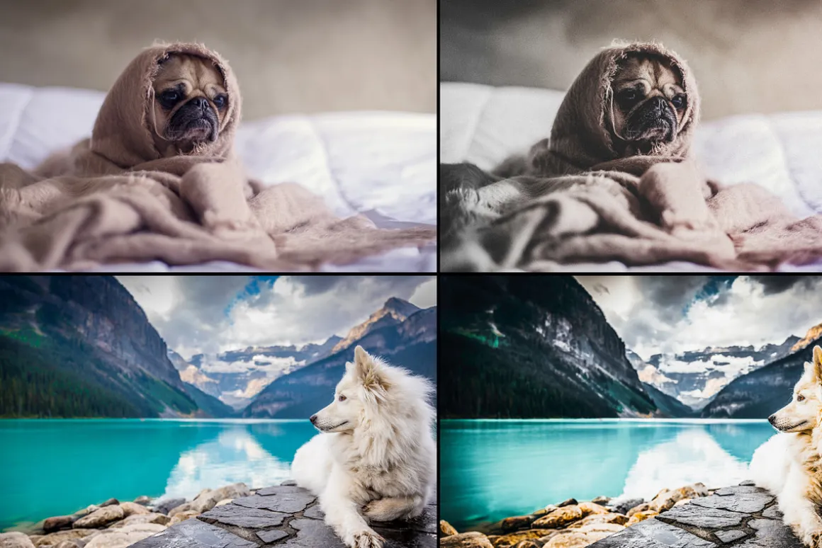 7000+ Professional Lightroom Presets