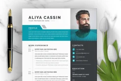 Professional Resume / CV Template