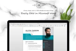 Professional Resume / CV Template