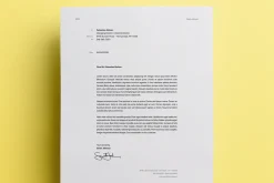 Pro Resume Template