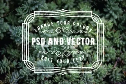 PSD Overlays Labels, Frames, Banners